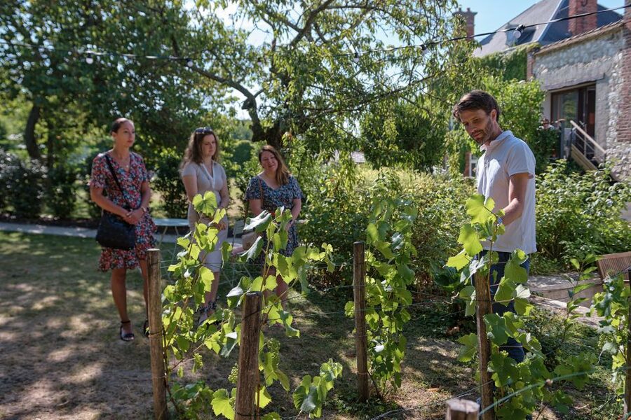 Champagne: Champagne Tasting Class with Lunch - FAQ