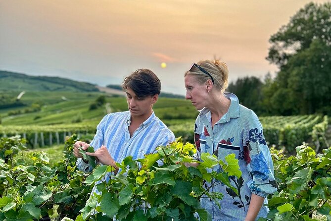 Champagne Day Trip from Paris with 8 Tastings & Lunch - Key things I’d watch for