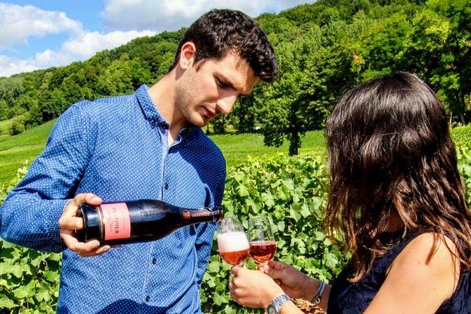 Champagne Day Trip from Paris with 8 Tastings & Lunch - How the drive teaches you Champagne (not just scenery)
