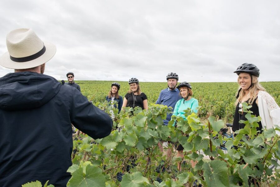 Champagne: E-Bike Champagne Day Tour with Tastings and Lunch - Who this tour suits best, and who should skip it