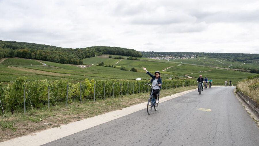 Champagne: E-Bike Champagne Day Tour with Tastings and Lunch - Price and value: why it costs about $224