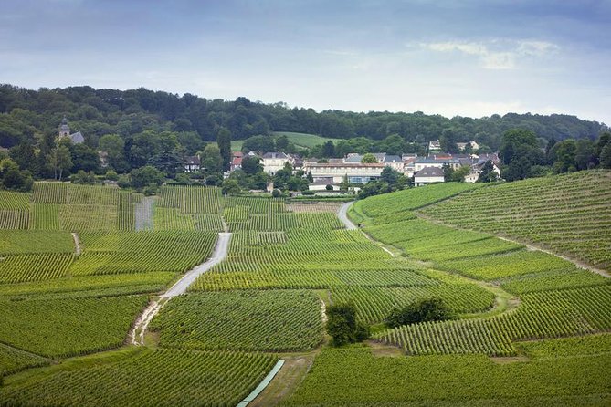 Champagne Region Private Day Trip from Paris - Key Highlights Worth Your Time