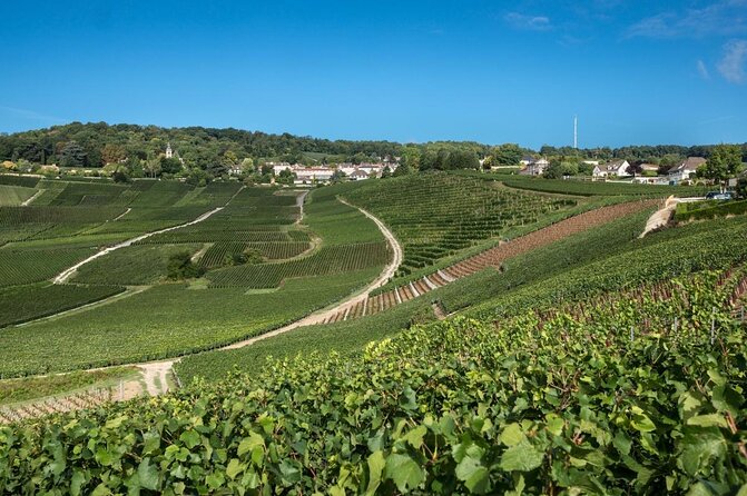 Champagne Tasting Tour Day Trip From Paris - Key things to know before you go