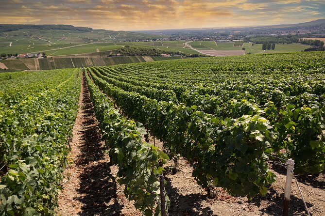 Champagne Tasting Tour Day Trip From Paris - Why this Champagne day trip is a smart use of your Paris time