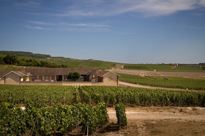 Champagne Tasting Tour Day Trip From Paris - Avenue de Champagne: lunch time, viewpoint options, and cellars under your feet
