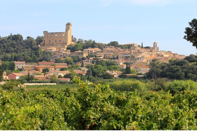 Châteauneuf du Pape Wine Day Tasting Tour including Lunch from Avignon - Lunch With a View, Not Just Fuel