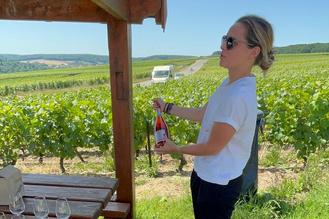 Cheese and Wine Pairing 1-Hour Session in Dijon - Why Emeline Pin’s pairing explanations make a difference