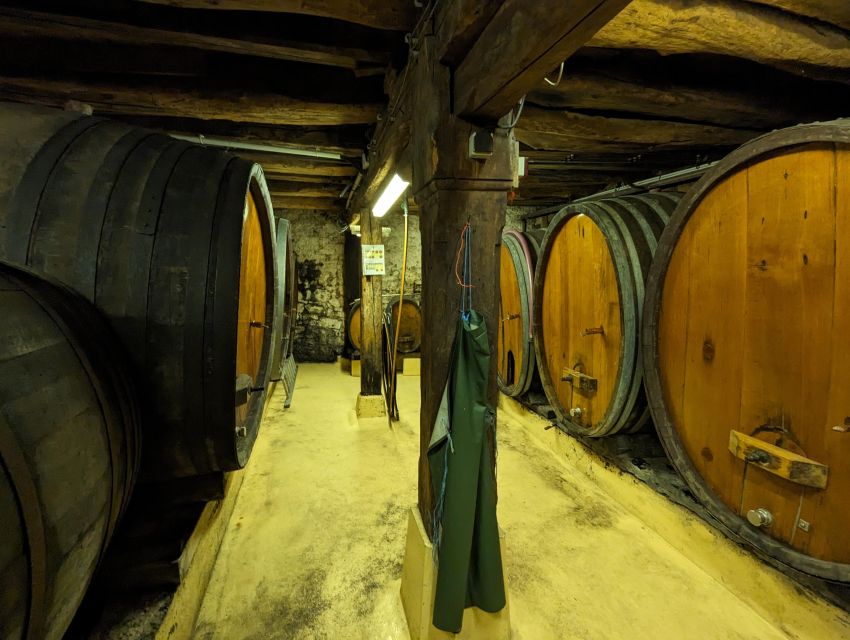 Colmar: Highlights Walking Tour and Wine Tasting - Key highlights worth your time