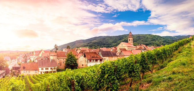 Colmar, Medieval Village & Castle Small Group from Strasbourg - Colmar walking tour: half-timbered streets and the sights that anchor the town