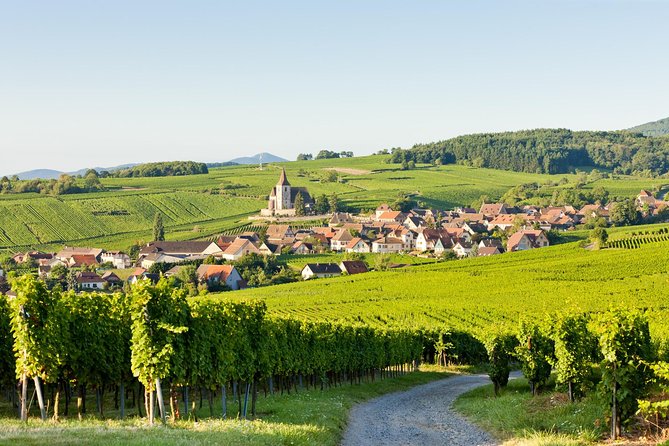 Colmar, Medieval Village & Castle Small Group from Strasbourg - The Alsace Wine Route drive: why the scenery matters, even when you are inside a van