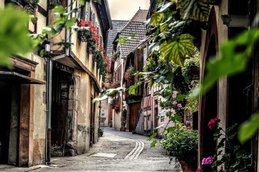 Colmar: Private Guided Walking Tour of the City Center - Who This Private Colmar Walk Is Best For