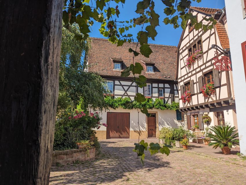 Colmar: Unusual Walking Tour with a local guide - Key highlights at a glance