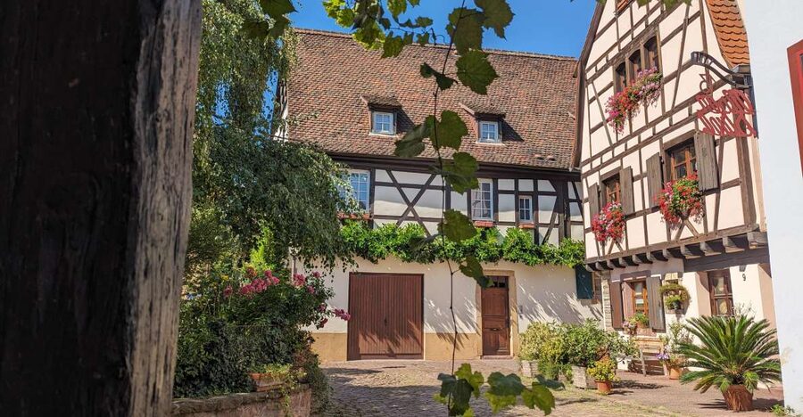 Colmar: Unusual Walking Tour with a local guide - Why this Colmar walking tour feels different from the usual old-town loop