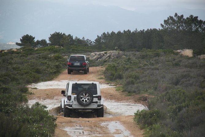 Corsica Extreme Sud Day 4X4 Excursions from Porto-Vecchio - Traditional Corsican lunch in a mountain restaurant