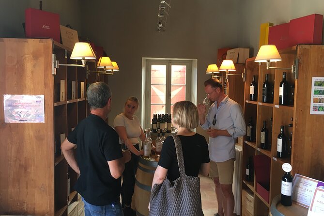 Côtes de Provence Small Group Day Trip with Winery Visits & Tastings from Nice - The tasting experience: approachable explanations with real wine-world terms