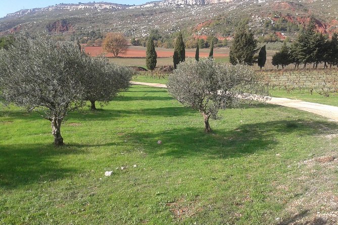 Cotes de Provence Wine Tour from Aix-en-Provence - Key things to know before you go