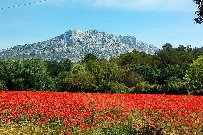 Cotes de Provence Wine Tour from Aix-en-Provence - Two tastings at two Provençal wineries