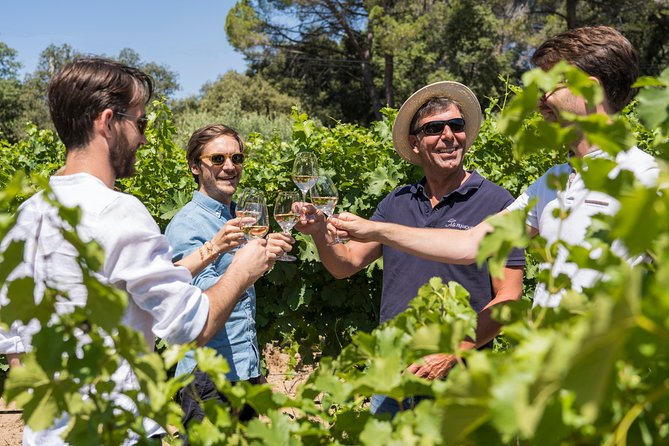 Cotes de Provence Wine Tour from Aix-en-Provence - Should you book this tour?