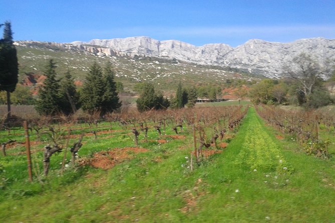 Cotes de Provence Wine Tour from Aix-en-Provence - What you might see on the drive, including Mont Sainte-Victoire