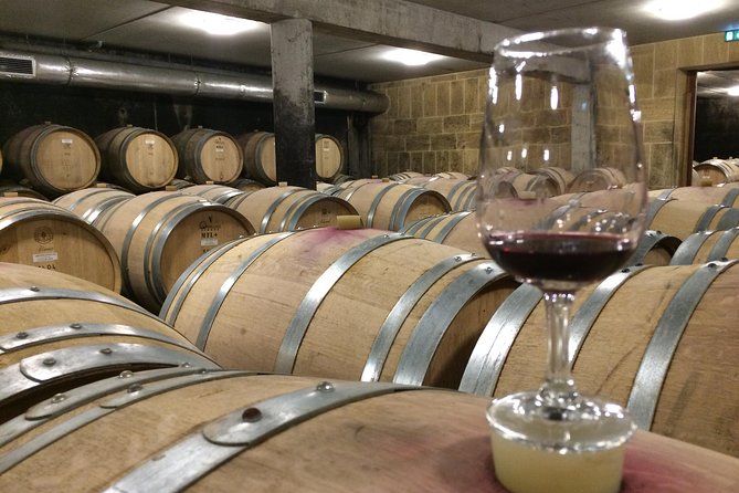 Cotes du Rhone Wine Tour (9:00 am to 5:15 pm) - Small Group Tour from Lyon - Key highlights you will actually feel during the day