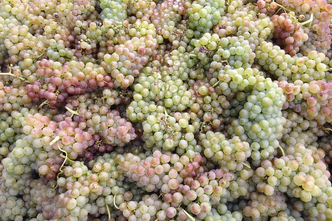 Cotes du Rhone Wine Tour (9:00 am to 5:15 pm) - Small Group Tour from Lyon - Lunch in Les Roches-de-Condrieu: good to take a break, and plan your budget