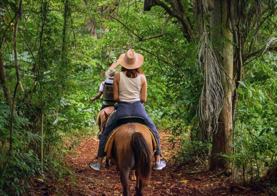 Cruseilles: Horseback Riding in the Countryside - Key points to know before you go
