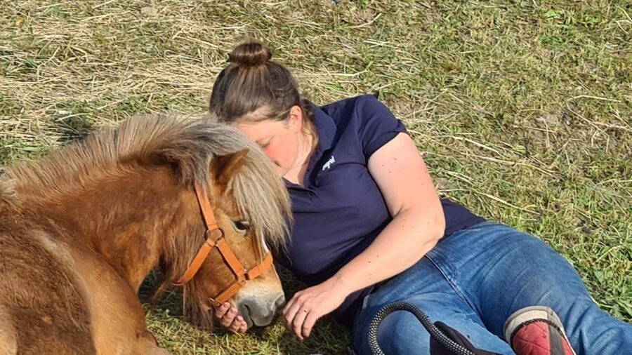Cruseilles: Horseback Riding in the Countryside - Should you book the Cruseilles horseback ride?