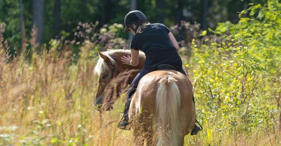 Cruseilles: Horseback Riding in the Countryside - What to wear and bring, so you do not spend the ride uncomfortable