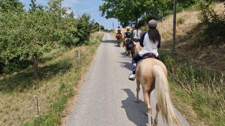 Cruseilles: Horseback Riding in the Countryside - Meet your horse at Ecurie des Goths, then hit the trails