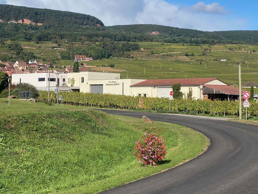 Dare to Alsace Wine with a Feminine Touch - Practical tips so the walk feels comfortable