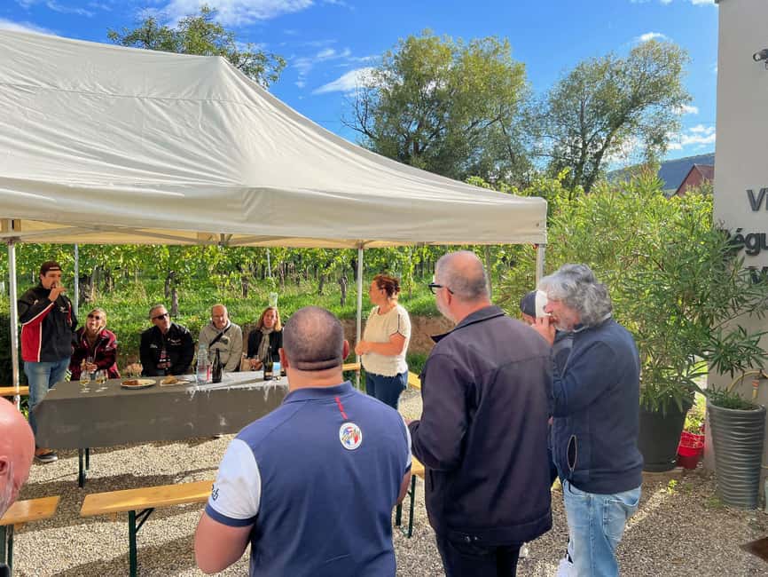 Dare to Alsace Wine with a Feminine Touch - The 2-hour flow: vineyard walk, cellar visit, and a 7-wine tasting