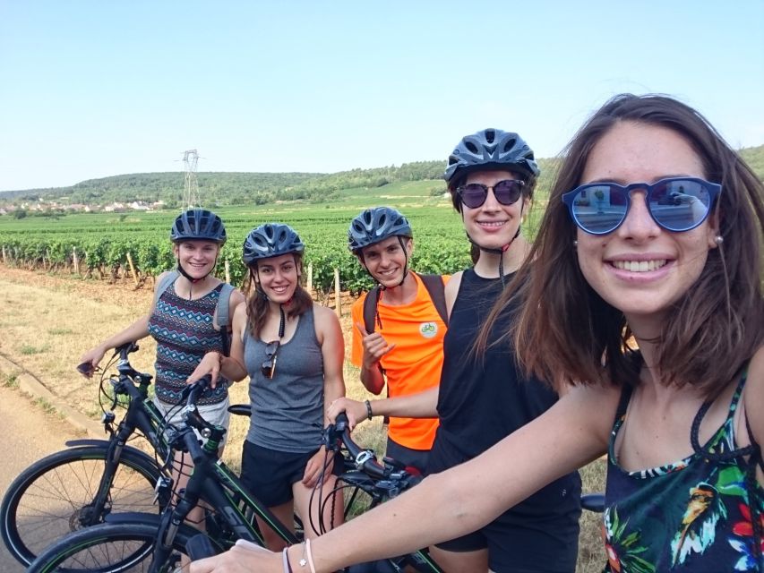 Dijon: Bike tour and Tastings in the Vineyards of Burgundy - Getting your bearings near Dijon’s vineyard edge