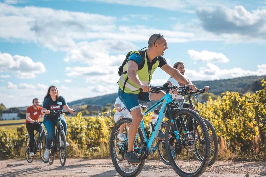 Dijon: Bike tour and Tastings in the Vineyards of Burgundy - The cycling route through Côte de Nuits wine villages