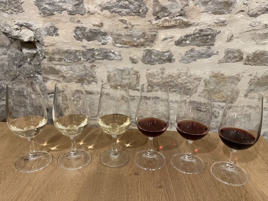 Dijon: Cheese and Burgundy Wine Tasting Workshop - A cozy cellar start in central Dijon (no wandering required)
