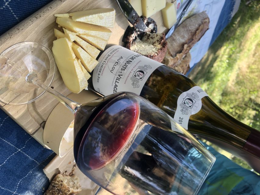 Dijon: Cheese and Burgundy Wine Tasting Workshop - How Emeline guides you: clearer English, room for questions
