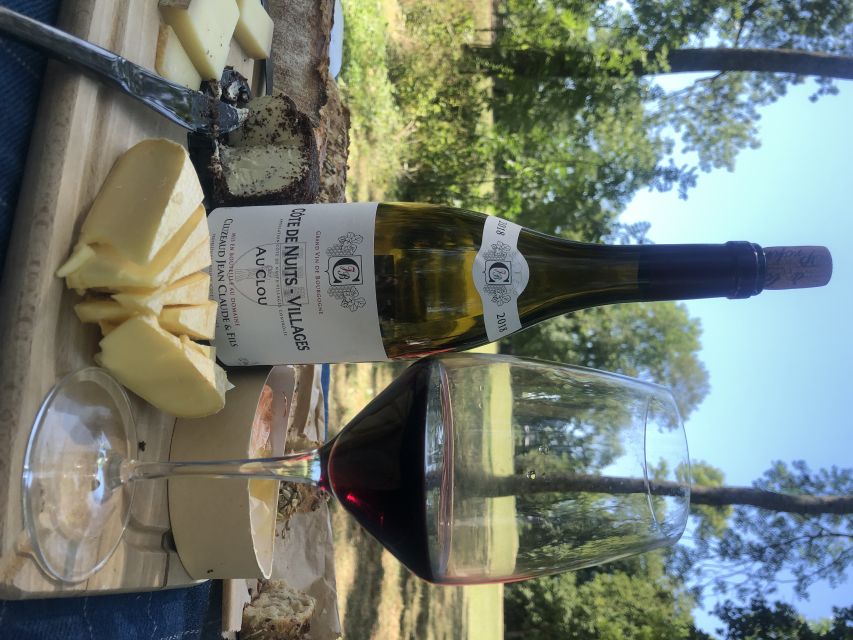 Dijon: Cheese and Burgundy Wine Tasting Workshop - Who should book this Dijon wine and cheese workshop