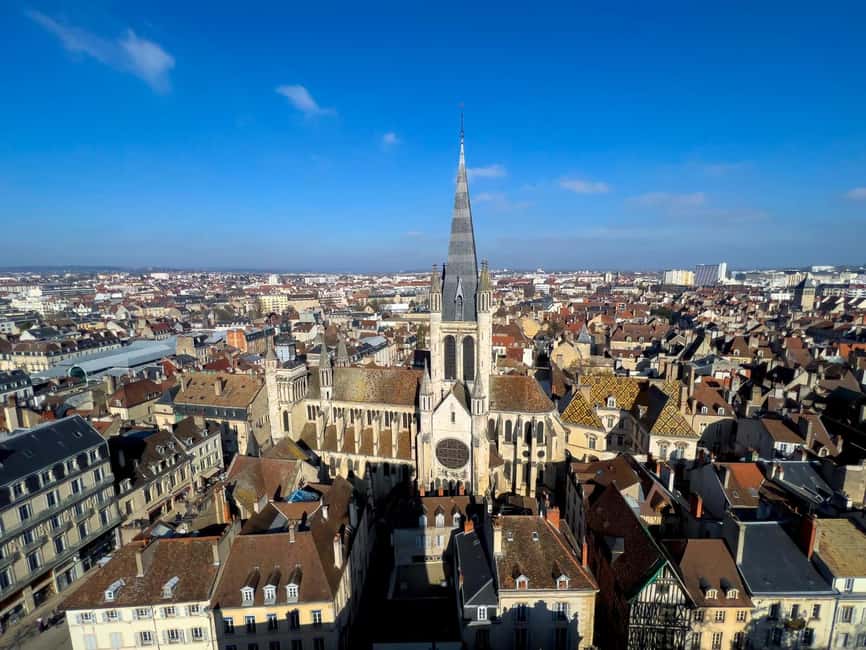 Dijon: Express Walk with a Local in 60 minutes - Who This Tour Suits Best (and Who Should Skip It)