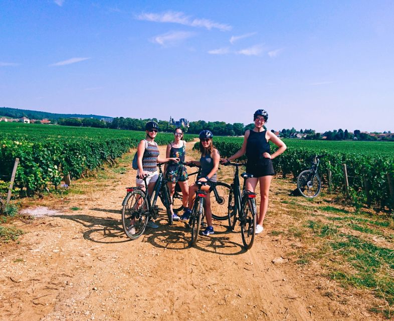 Dijon: Half-Day Guided Gourmet Bike Tour - Key Points That Make This Tour Worth Your Time