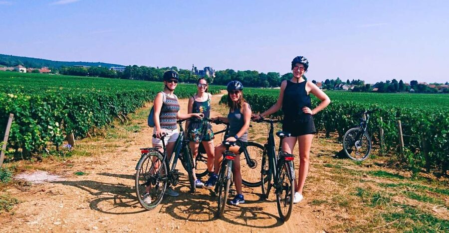 Dijon: Half-Day Guided Gourmet Bike Tour - A Gourmet Bike Break from Dijon into Burgundys Vineyard Villages