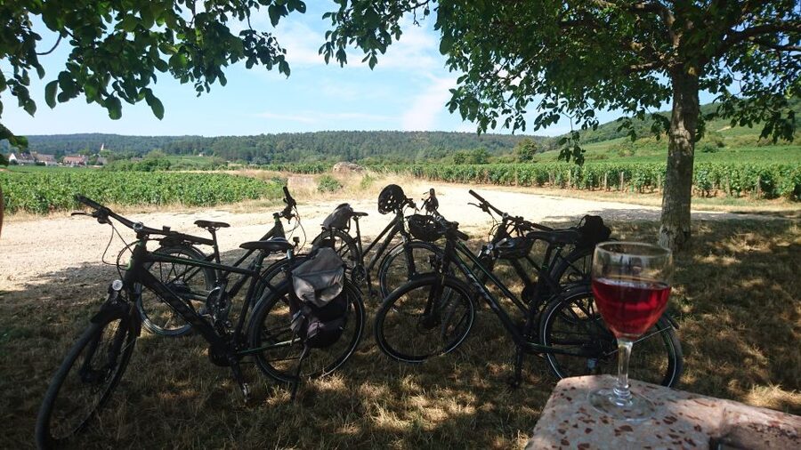 Dijon: Half-Day Guided Gourmet Bike Tour - What You Taste: White Wine, Black Currant, and Burgundy Meat, Cheese, Bread