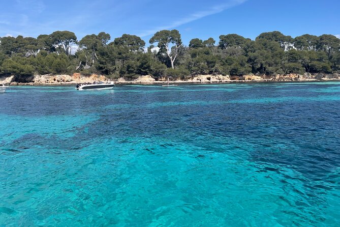 Discover the Lérins Islands and the Bay of Cannes by Private Boat - Stop 2 on the Lérins Islands: Aperitif Mood and an Underwater Museum