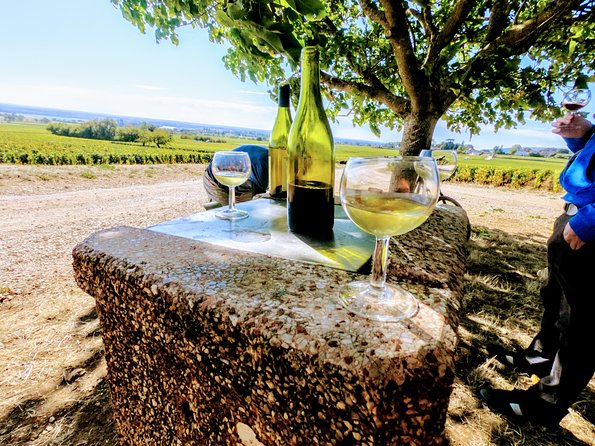 Discovery by bike & Tasting in the vineyards - Price and value: what $77.89 buys you in real terms