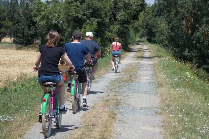 Discovery Day in the footsteps of the Builder Monks - Maillé picnic on the port of Sèvre Niortaise: local food, real setting