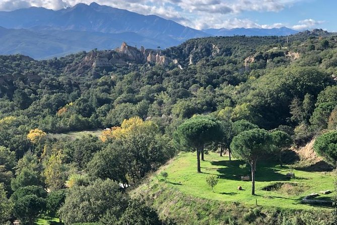 Discovery "les Orgues and truffles" - Meeting Adrien: Black Diamond Stories from a Trufficulteur at 86