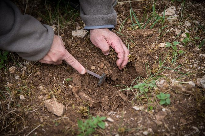 Discovery of the world of Truffles and tasting - Key points to know before you go