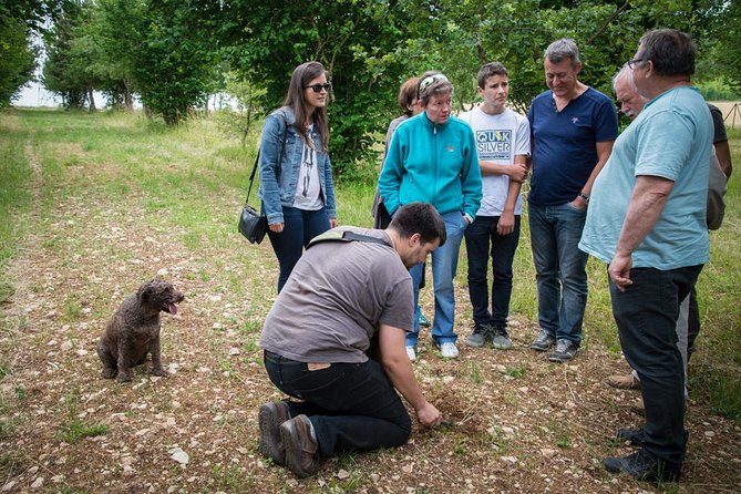 Discovery of the world of Truffles and tasting - Entering Maison aux Mille Truffes near Beaune