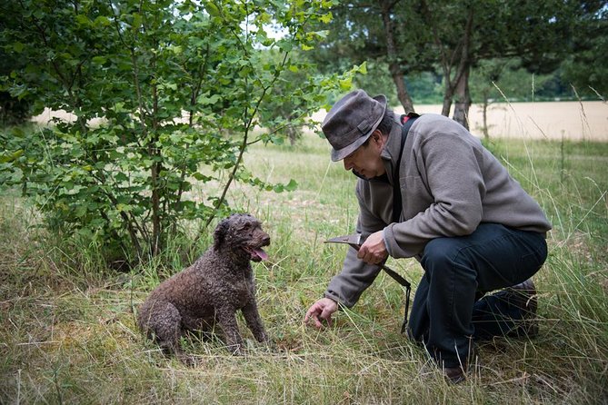 Discovery of the world of Truffles and tasting - Digging time in the demonstration area