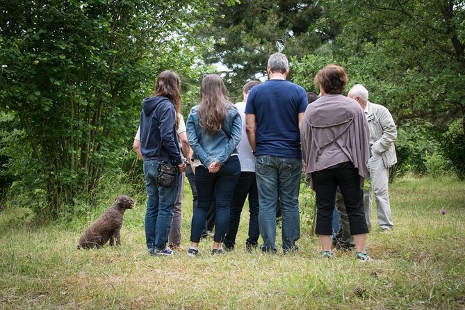 Discovery of the world of Truffles and tasting - Time, transport, and what to plan around