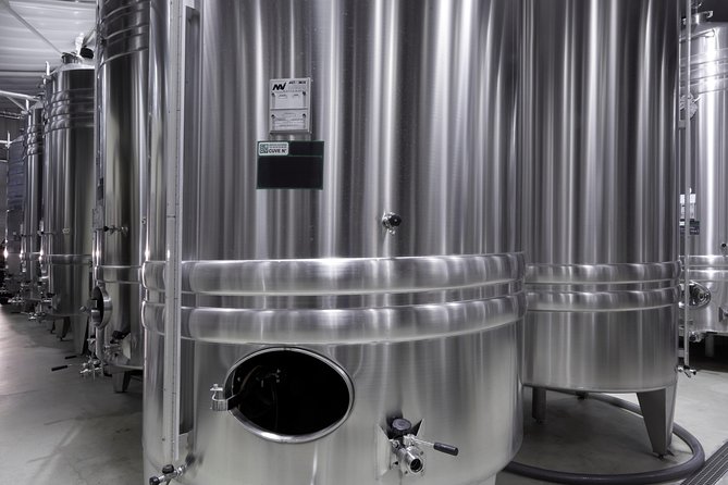 Discovery tour (2 tastings) - Walking the vaulted cellars and learning what actually matters
