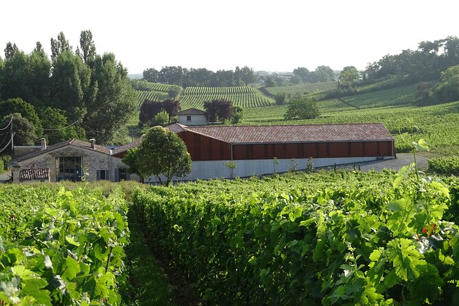 Discovery visit of Château Rol Valentin with tasting - Saint-Emilion hills and a modern winemaking story